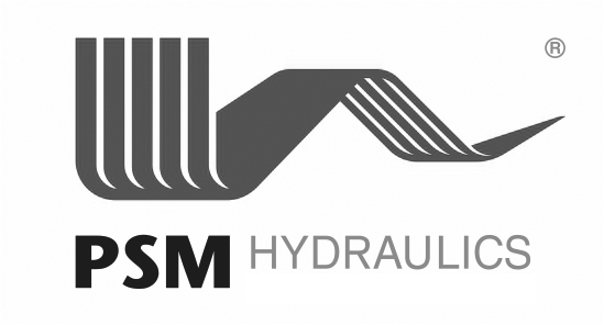 Logo PSM chb.jpg